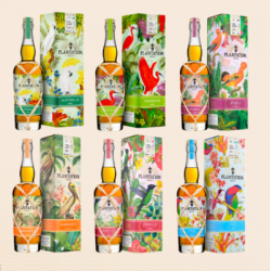 Plantation Vintage Edition ,, Birds of Paradise "